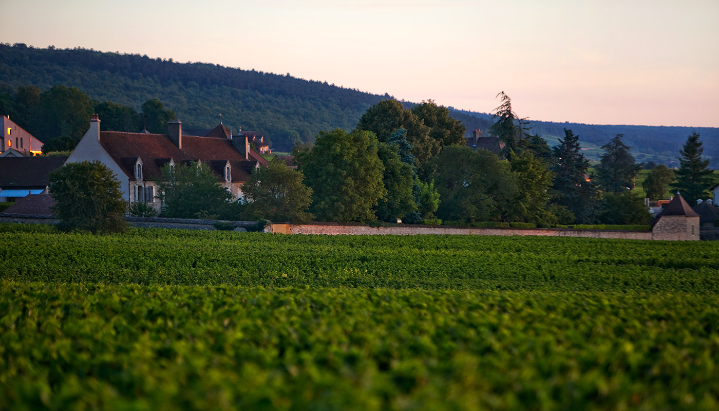 Dujac — estate